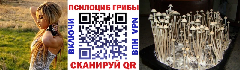 Галлюциногенные грибы Magic Shrooms  где можно купить   Зеленоградск 